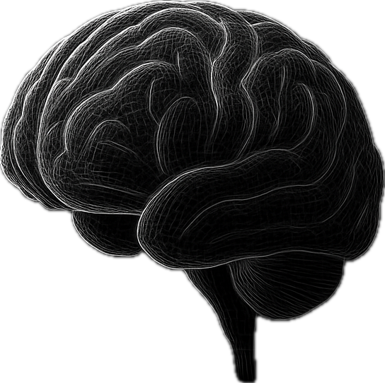 A neural network